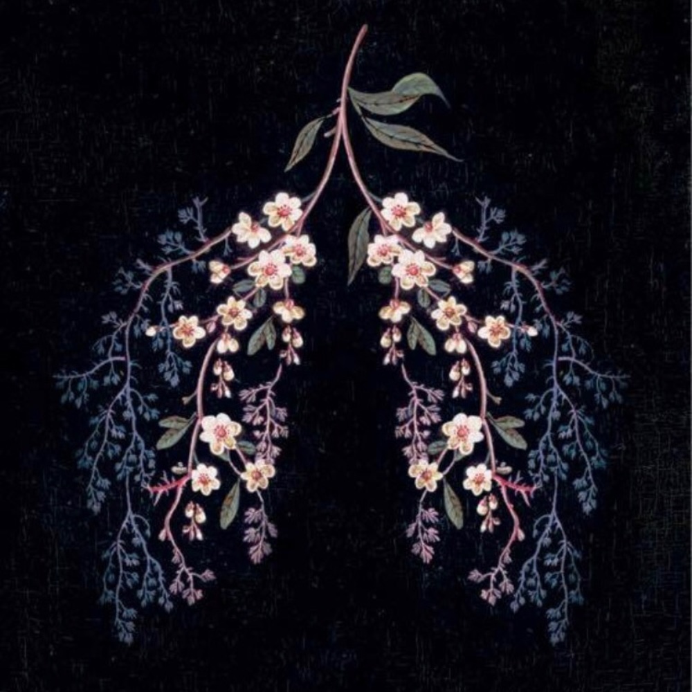 Meet your Posher, Eleanor